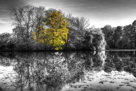 Pionierteich (fotocommunity.de) Pionierteich (fotocommunity.de)